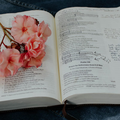 Rediscover the Beauty of the Bible