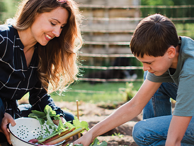 You Can Grow a Year’s Worth of Food for Your Family – Get a Free Planning Guide Today!