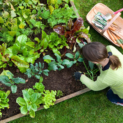 This spring, cultivate the good gifts of your holistic garden