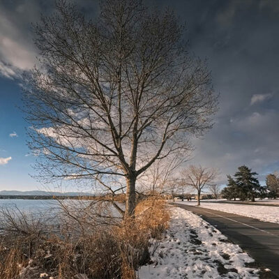 Walking in the way of wisdom: A trail guide from God’s word