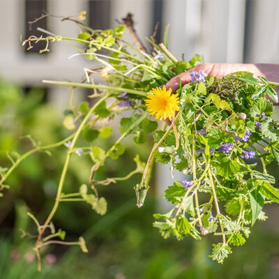 Fighting pesky weeds? Save hours of work with these easy tips